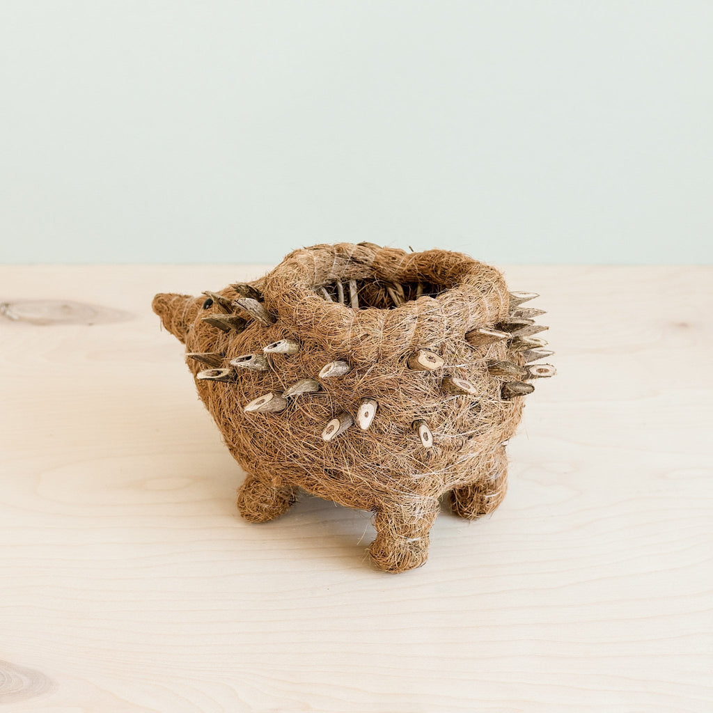 Cache-pot Hérisson - Coco Planter