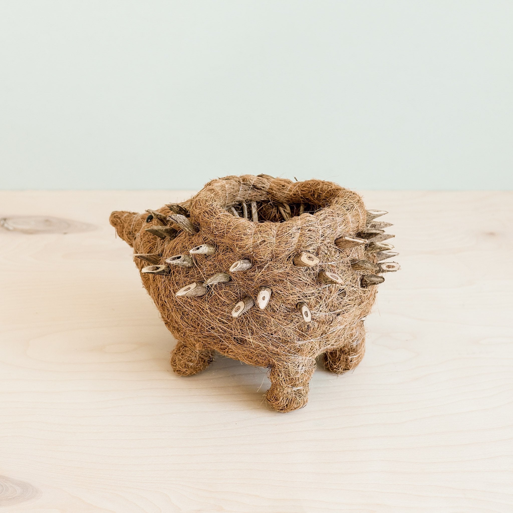 Cache-pot Hérisson - Coco Planter