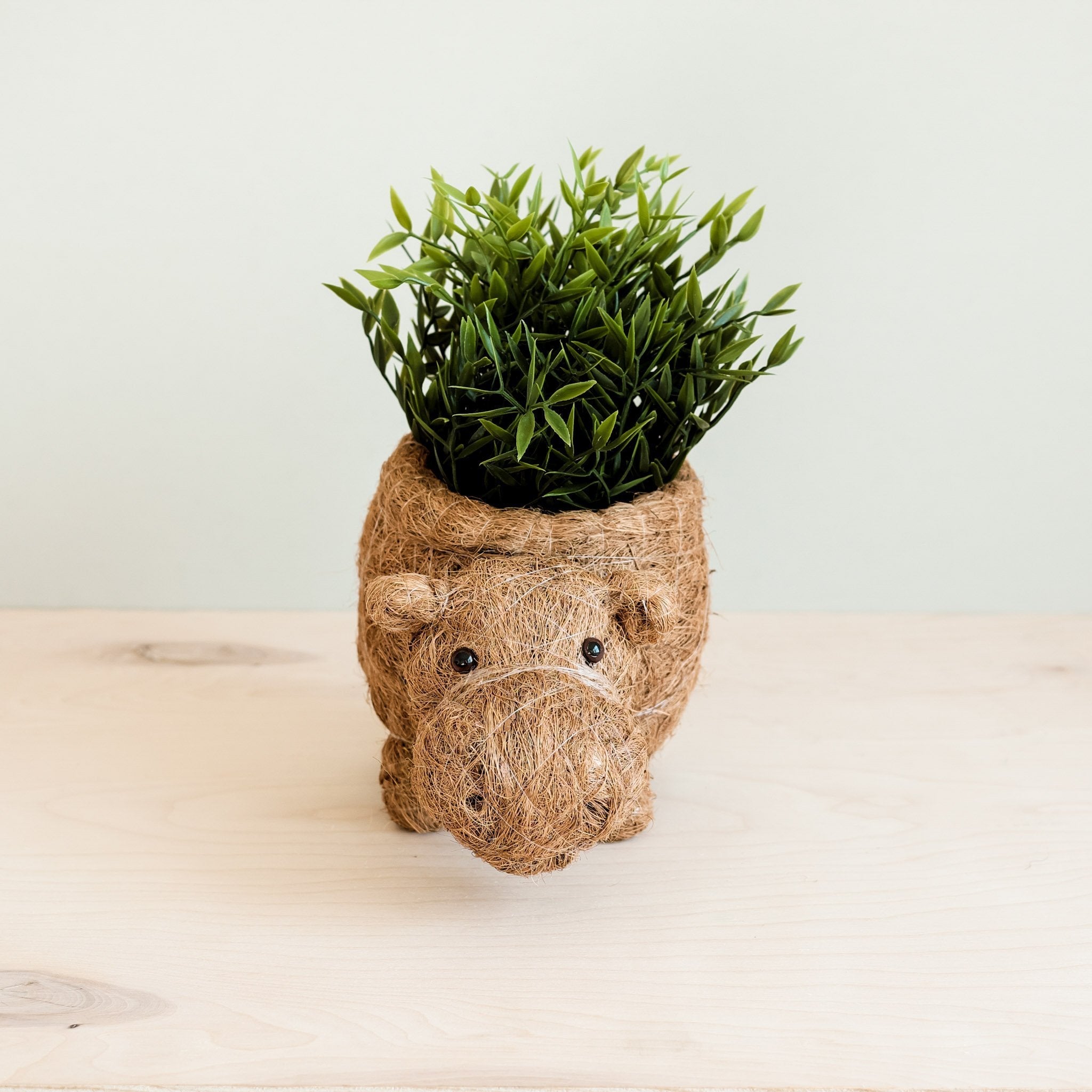 Pot de fleurs Hippopotame - Pot en fibre de coco