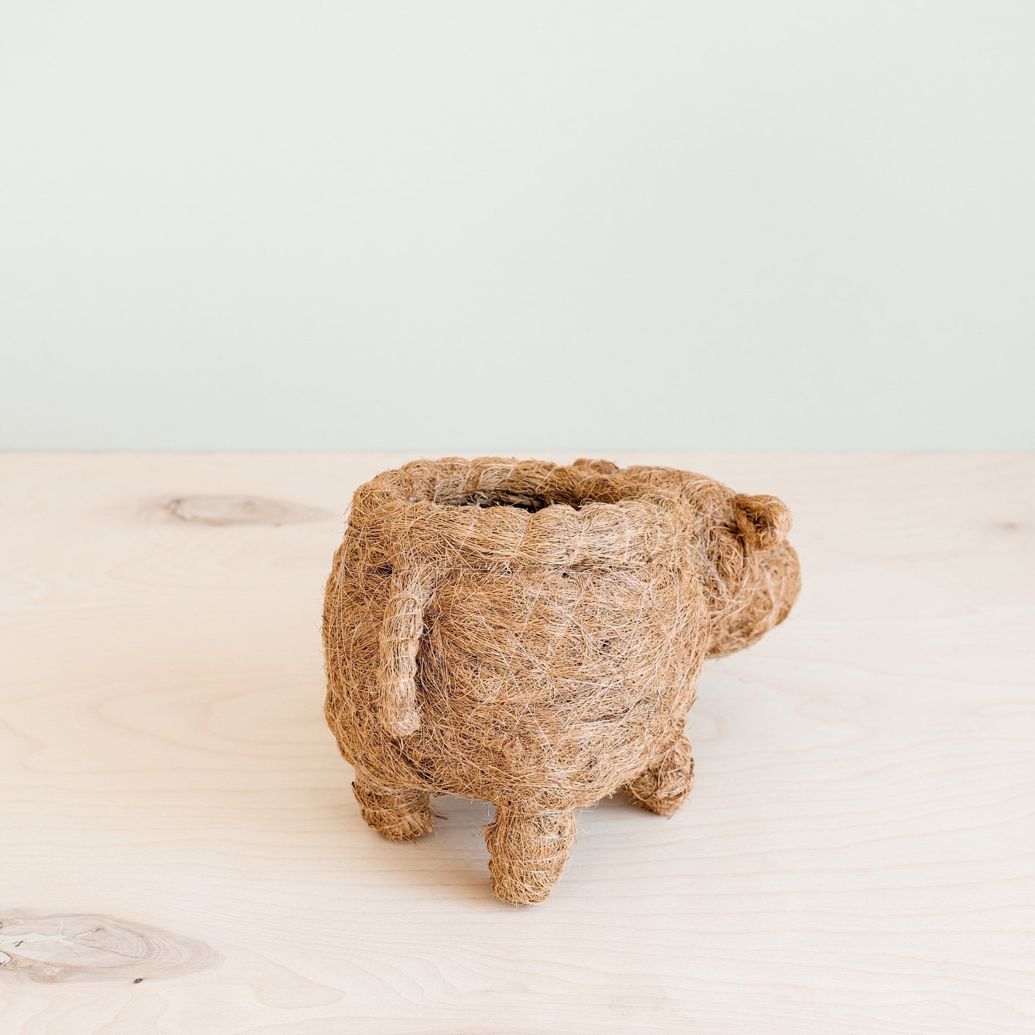 Pot de fleurs Hippopotame - Pot en fibre de coco