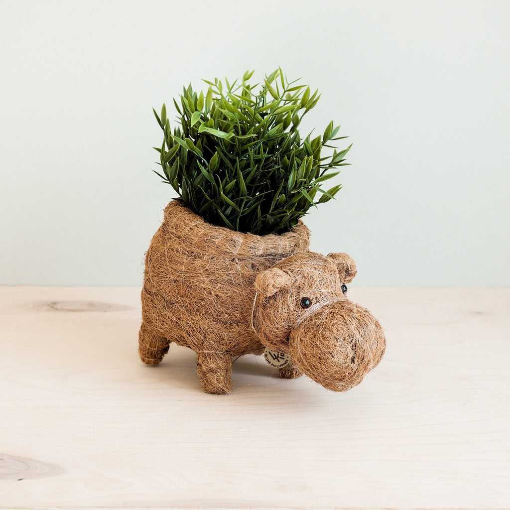 Pot de fleurs Hippopotame - Pot en fibre de coco