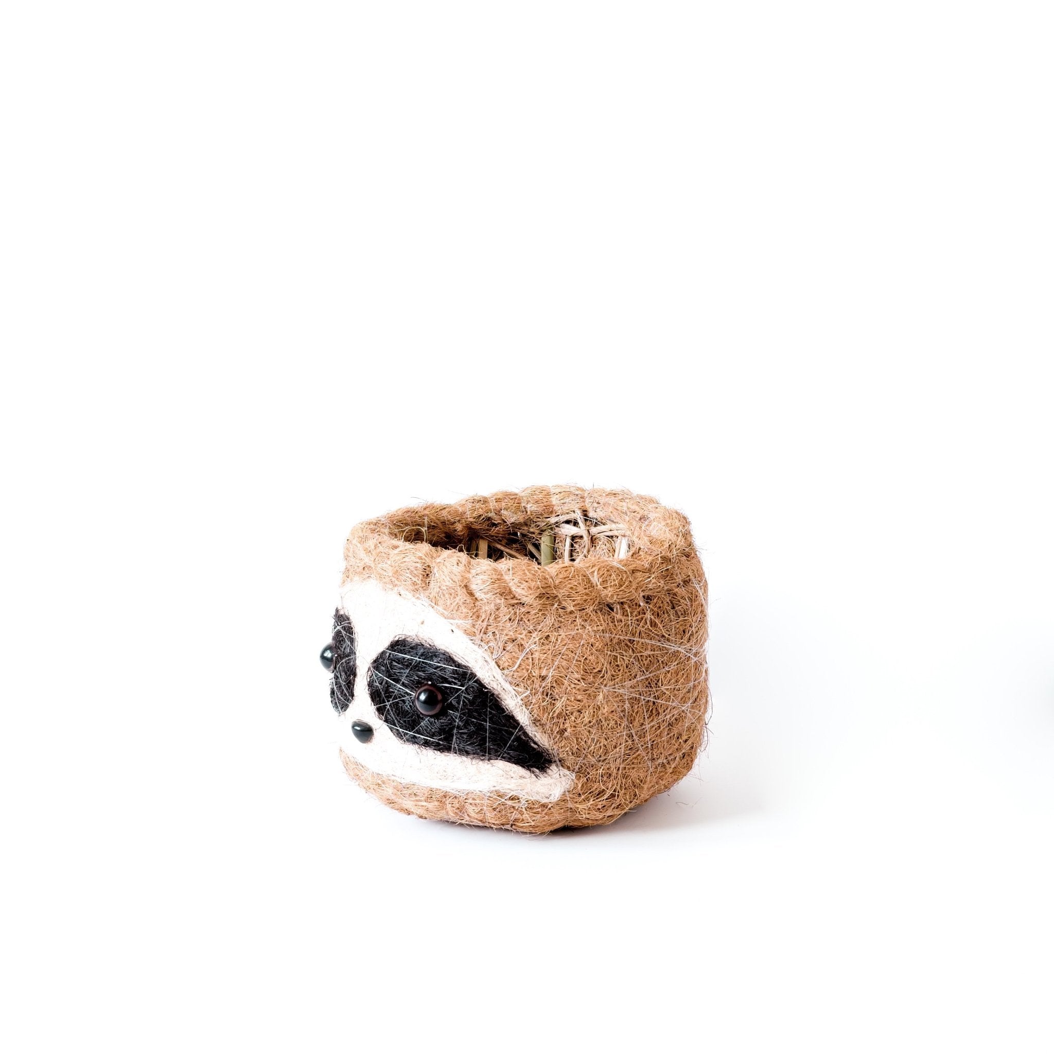 Grand paresseux trois tons - Pots en fibre de coco (15 cm)
