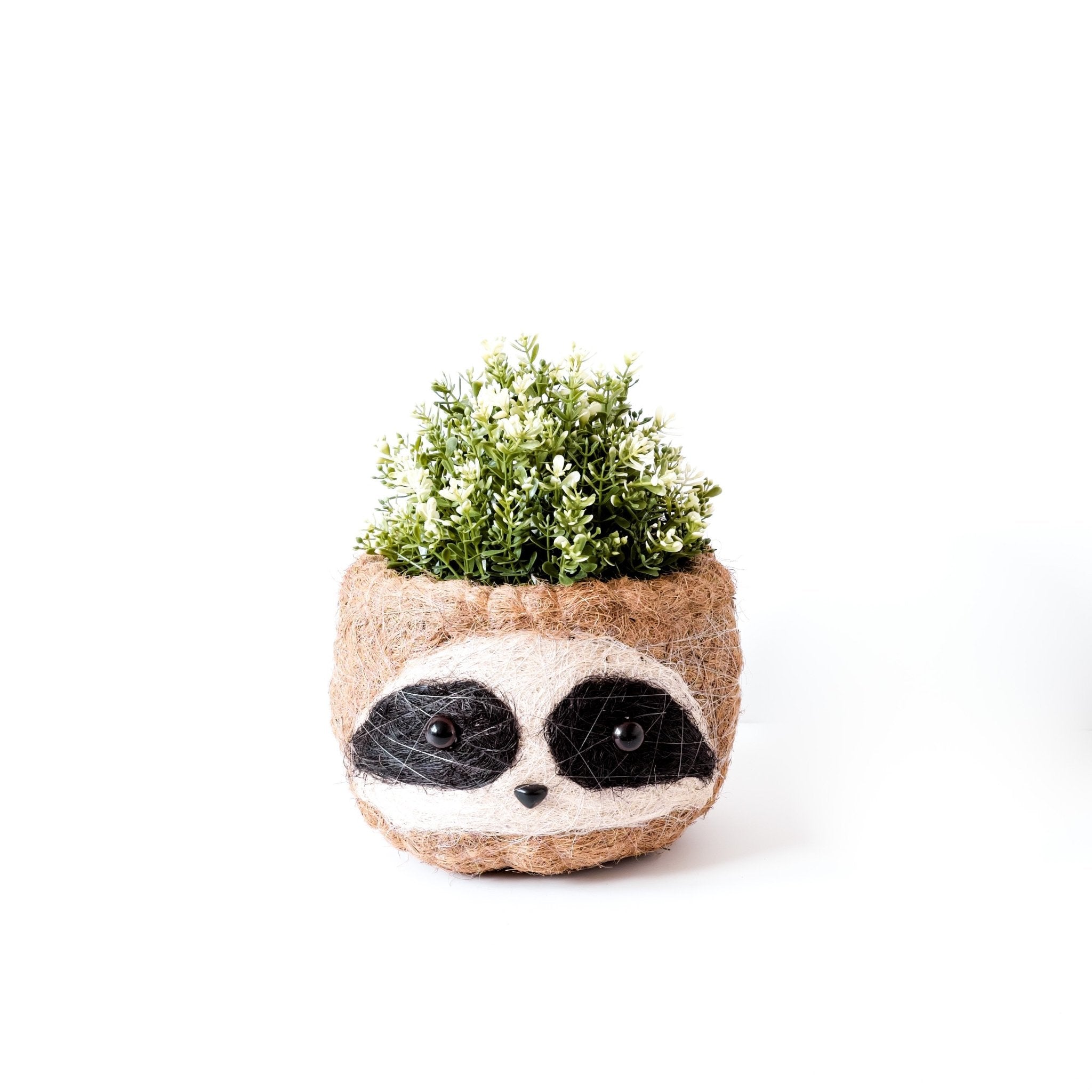 Grand paresseux trois tons - Pots en fibre de coco (15 cm)