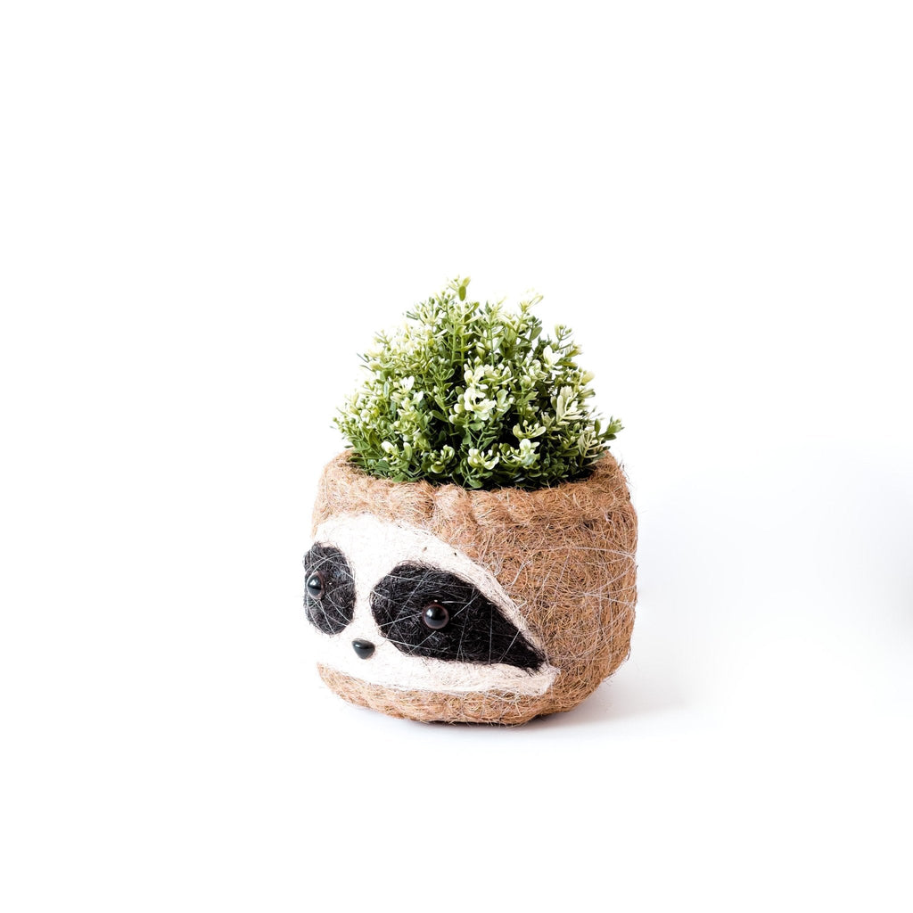 Grand paresseux trois tons - Pots en fibre de coco (15 cm)