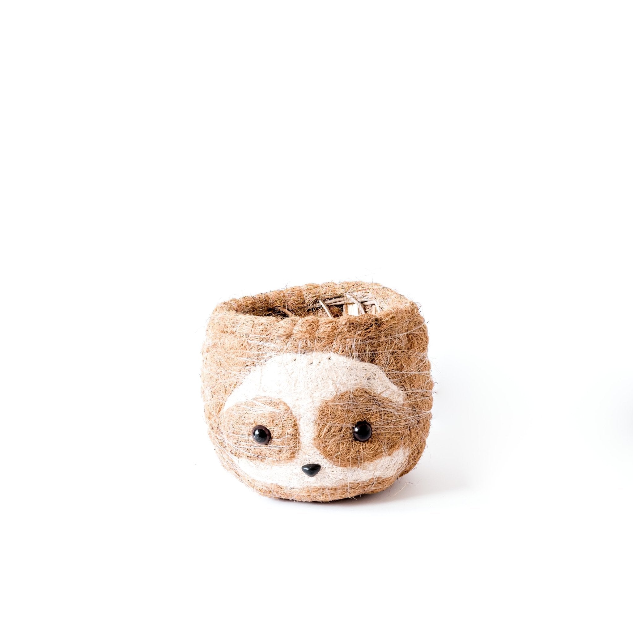 Grand paresseux bicolore - Pots en fibre de coco (15 cm)