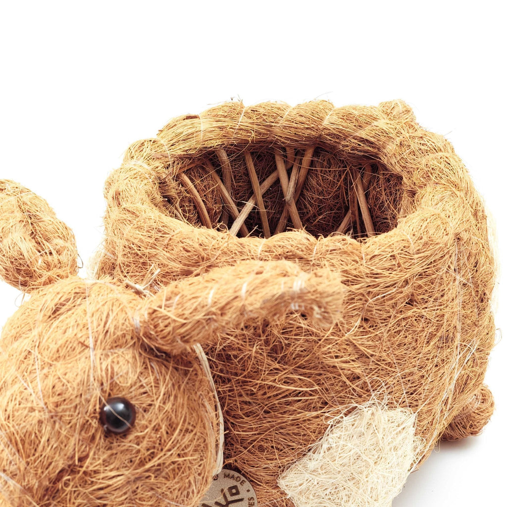 Jardinière cochon - Pots en fibre de coco