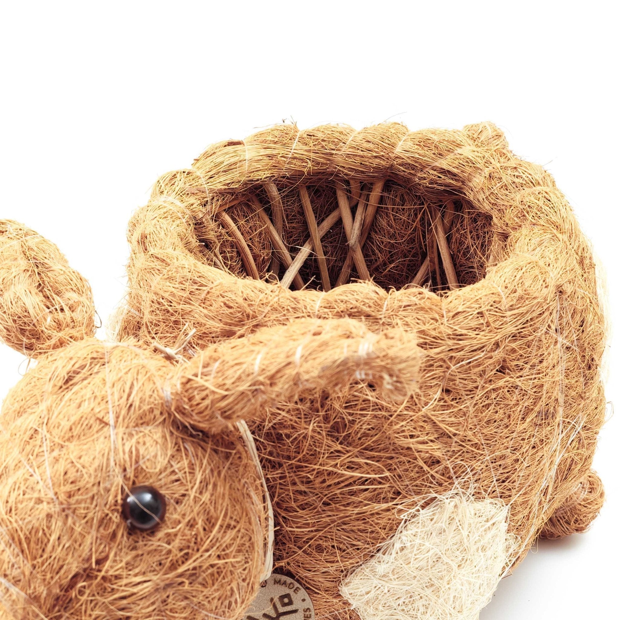 Jardinière cochon - Pots en fibre de coco
