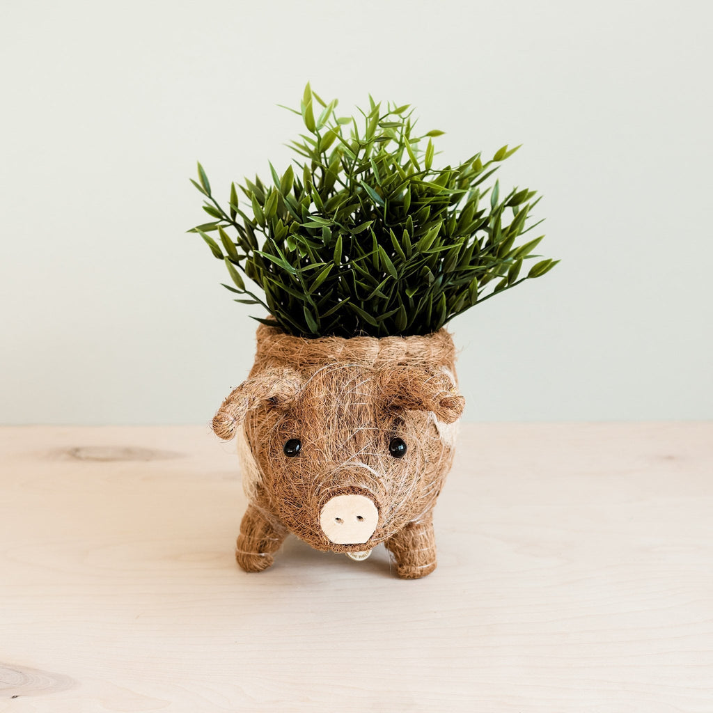 Jardinière cochon - Pots en fibre de coco