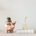 Jardinière cochon - Pots en fibre de coco