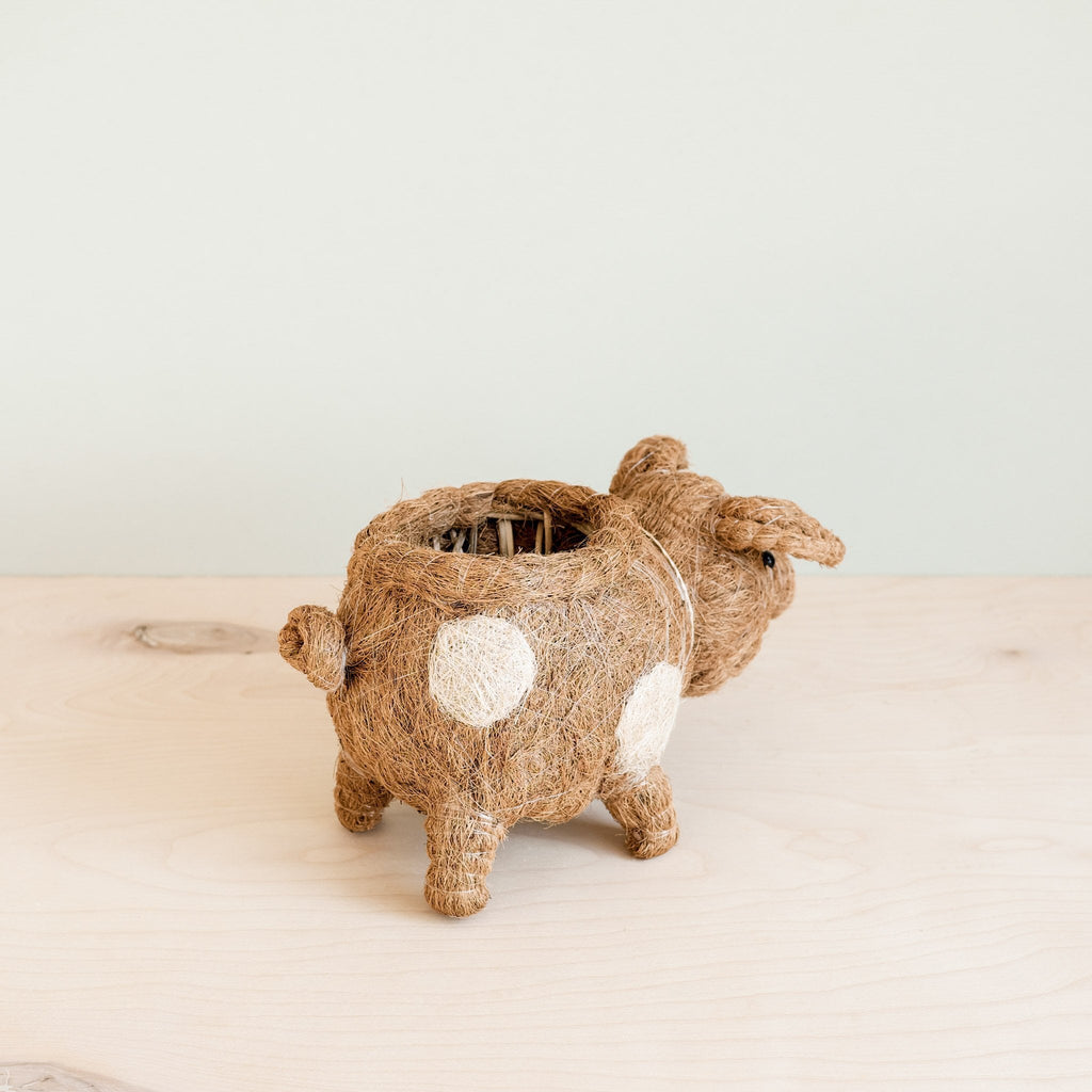 Jardinière cochon - Pots en fibre de coco