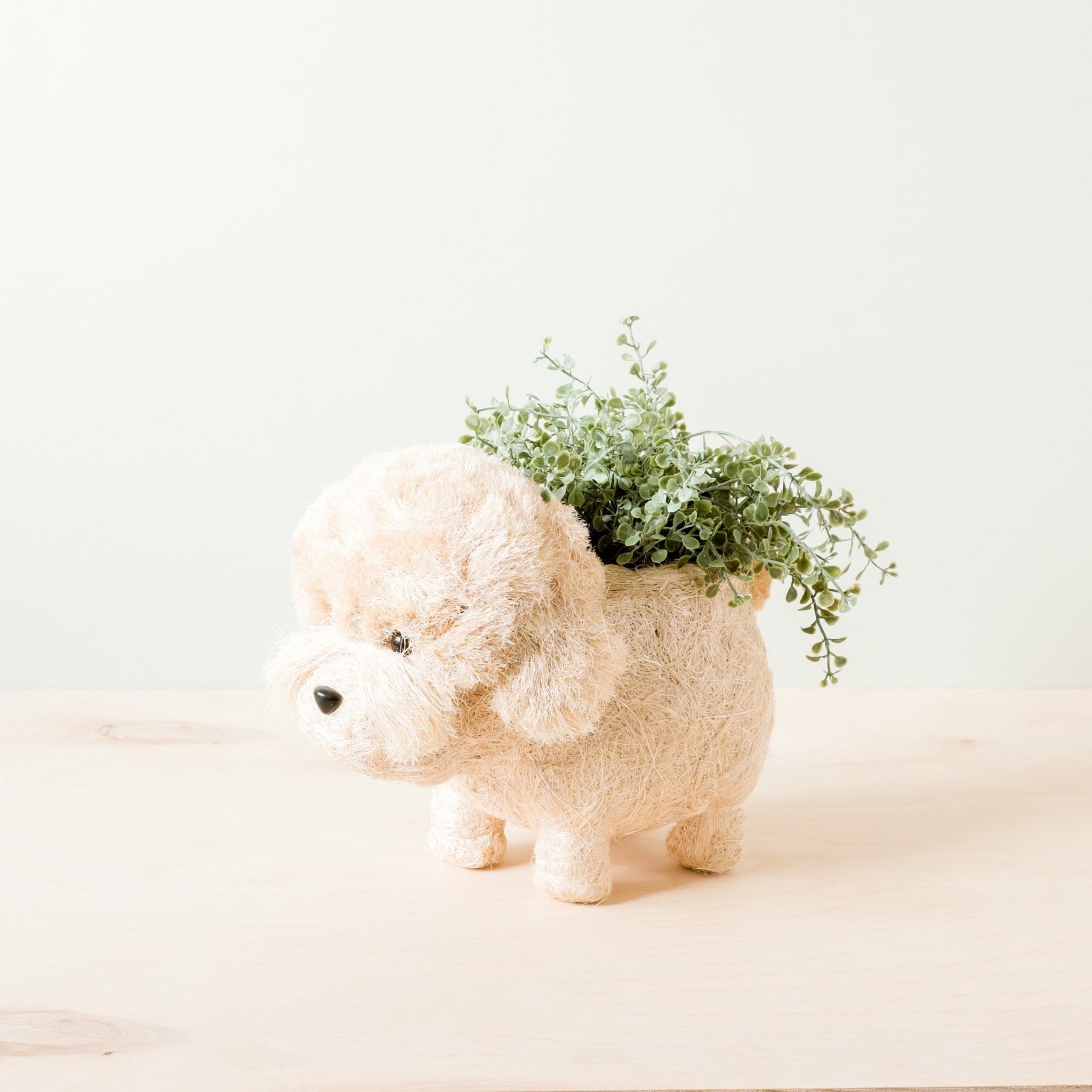 Jardinière Caniche - Pots en fibres de coco