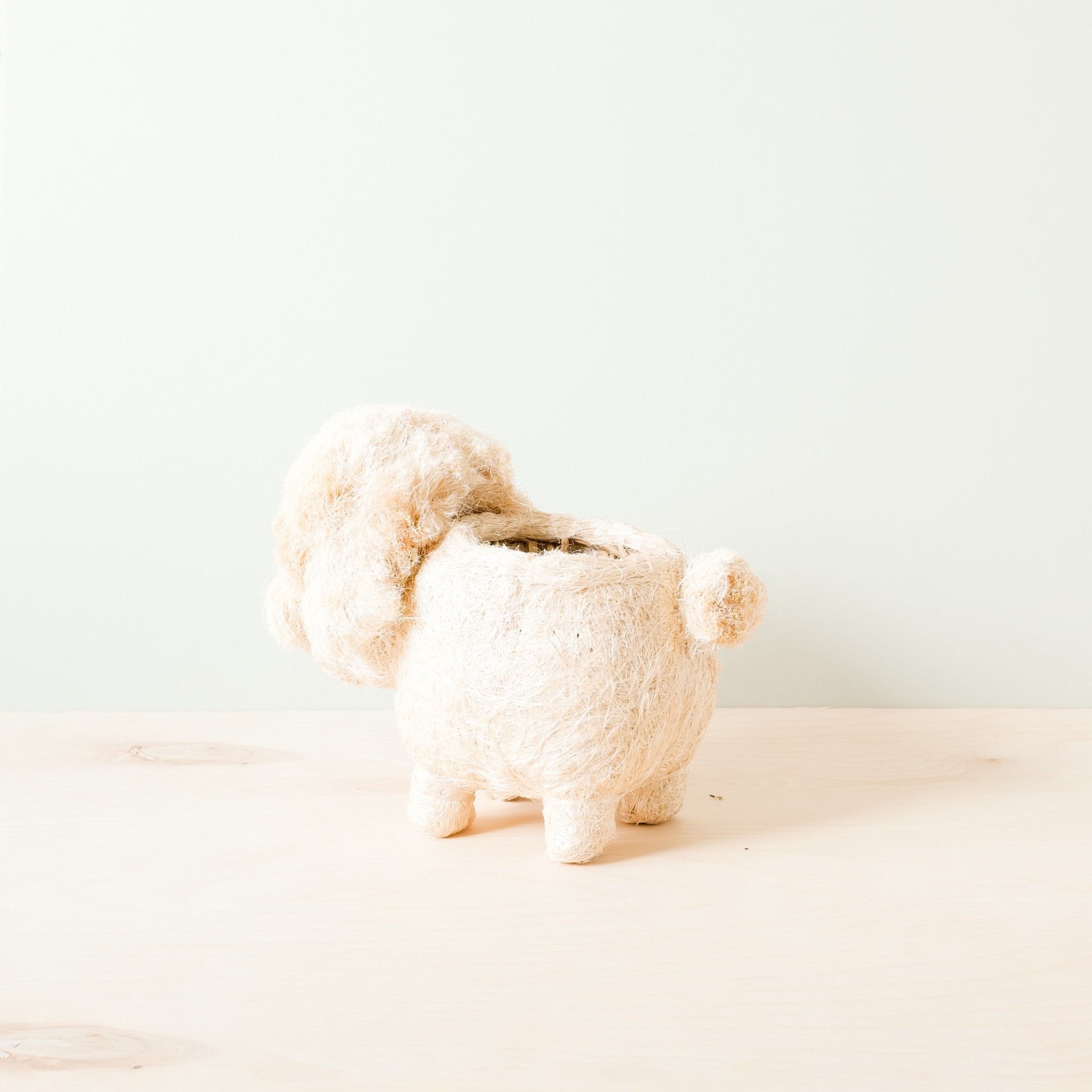 Jardinière Caniche - Pots en fibres de coco