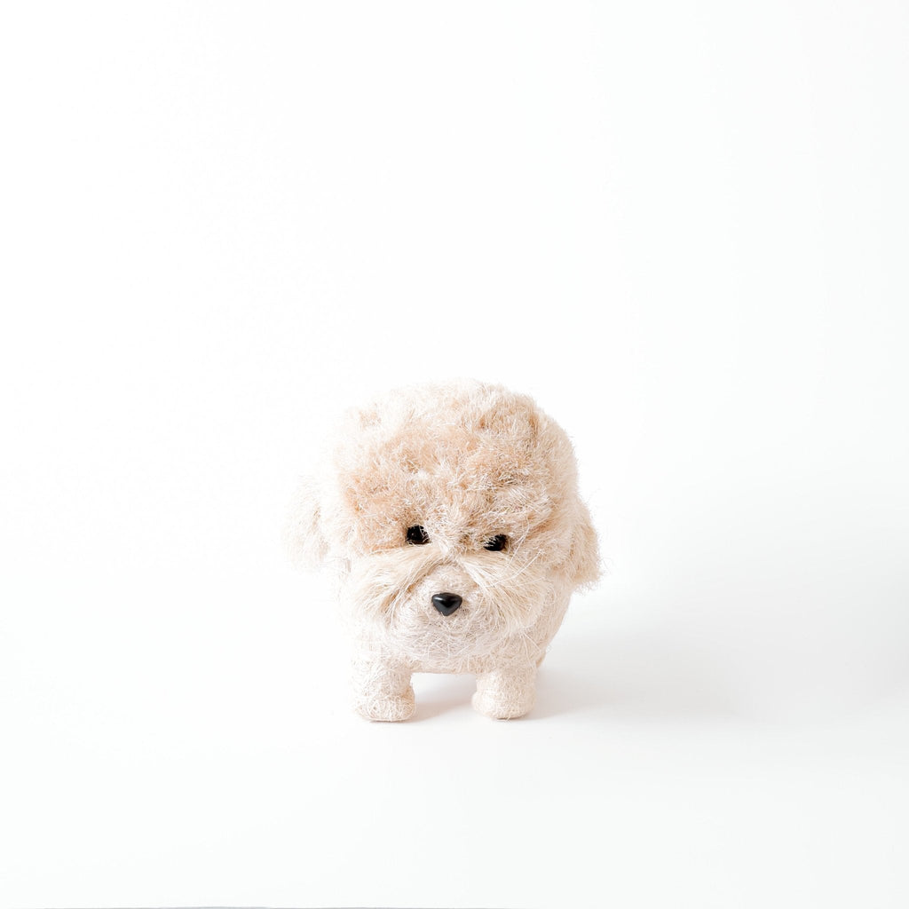 Jardinière Caniche - Pots en fibres de coco