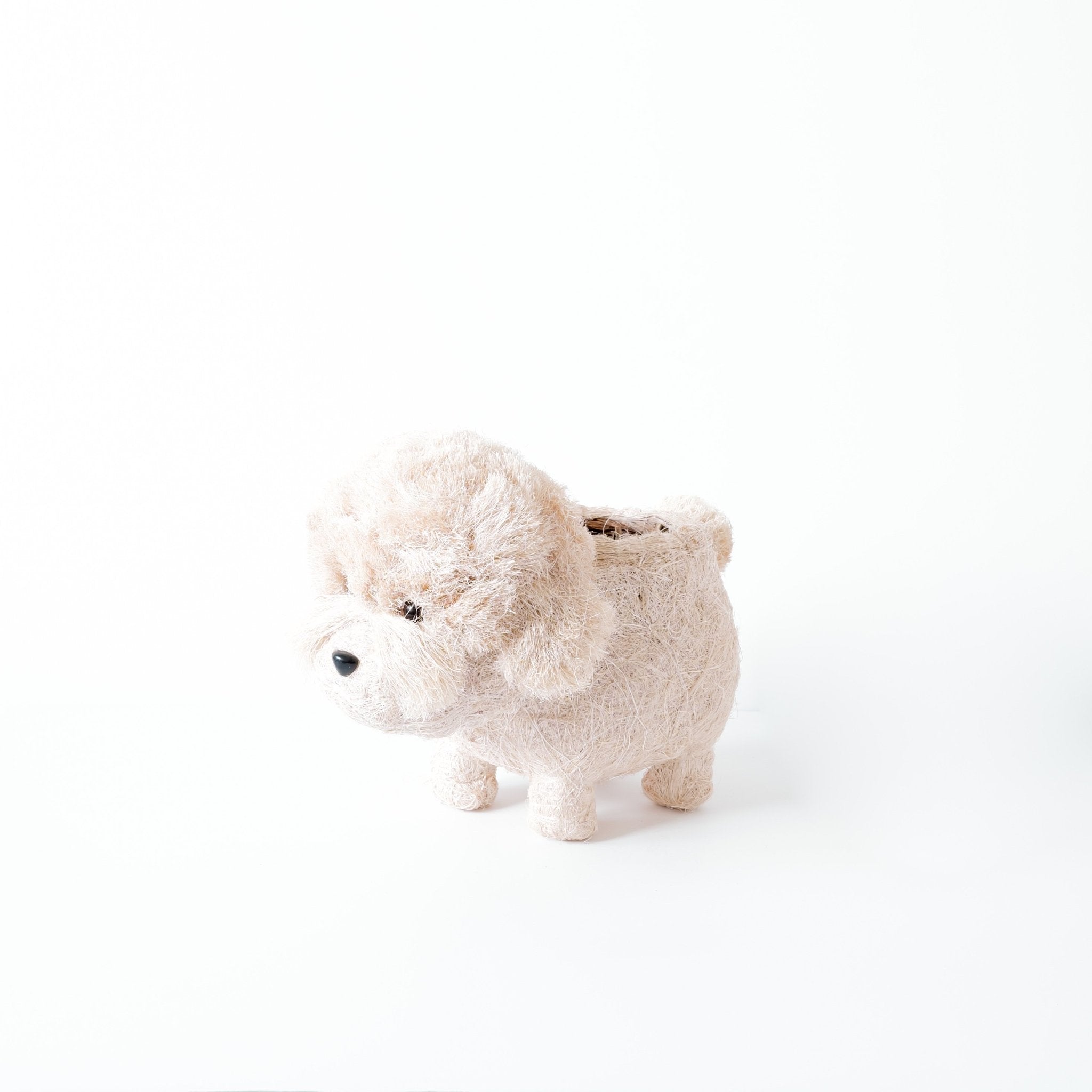 Jardinière Caniche - Pots en fibres de coco