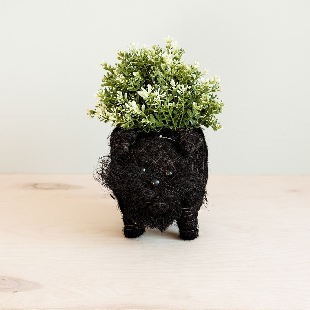Pot de fleurs Schnauzer - Pots en fibre de coco
