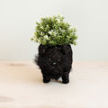 Pot de fleurs Schnauzer - Pots en fibre de coco
