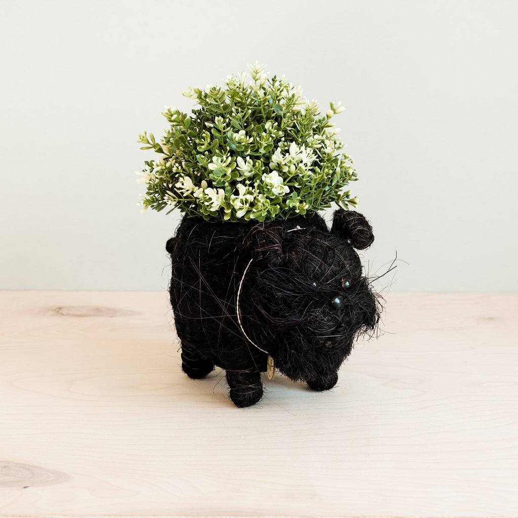 Pot de fleurs Schnauzer - Pots en fibre de coco