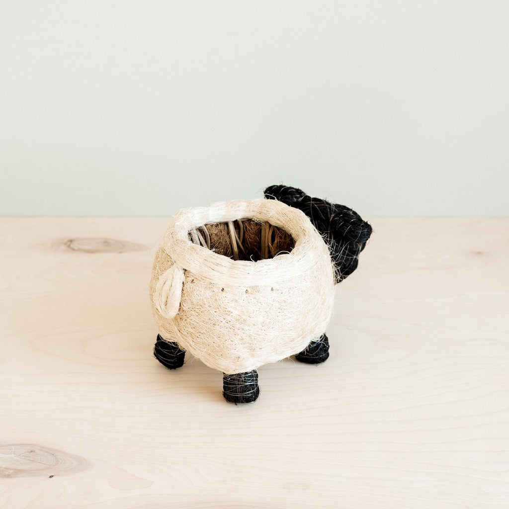 Pot de plantation mouton - Pots en fibre de coco