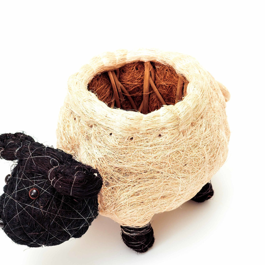 Pot de plantation mouton - Pots en fibre de coco