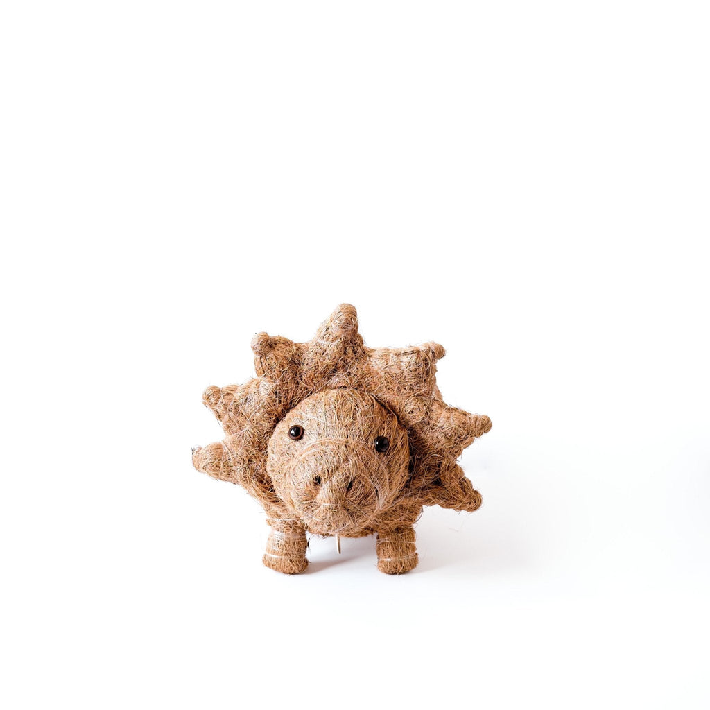 Jardinière Tricératops - Pots en fibre de coco