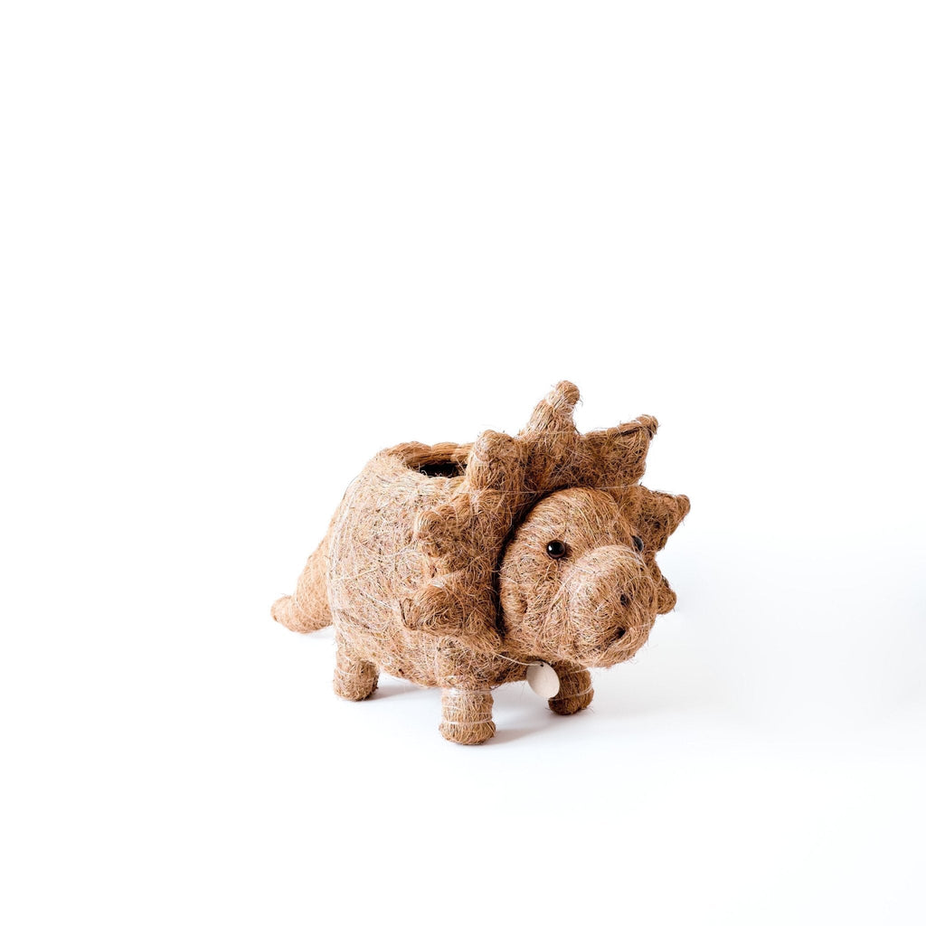 Jardinière Tricératops - Pots en fibre de coco