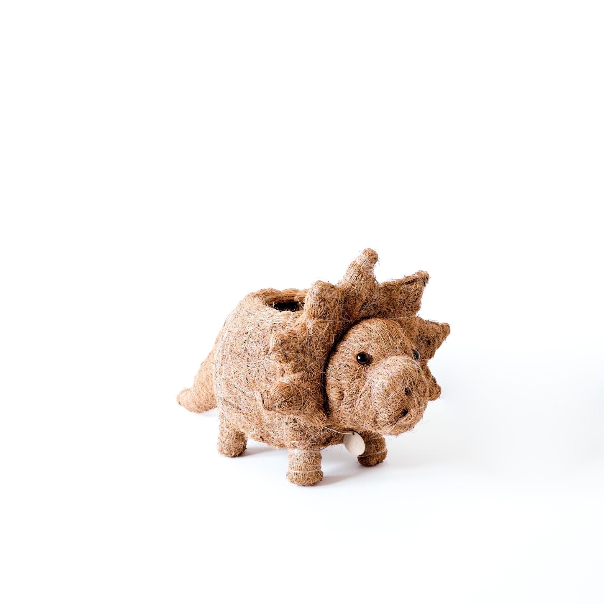 Jardinière Tricératops - Pots en fibre de coco