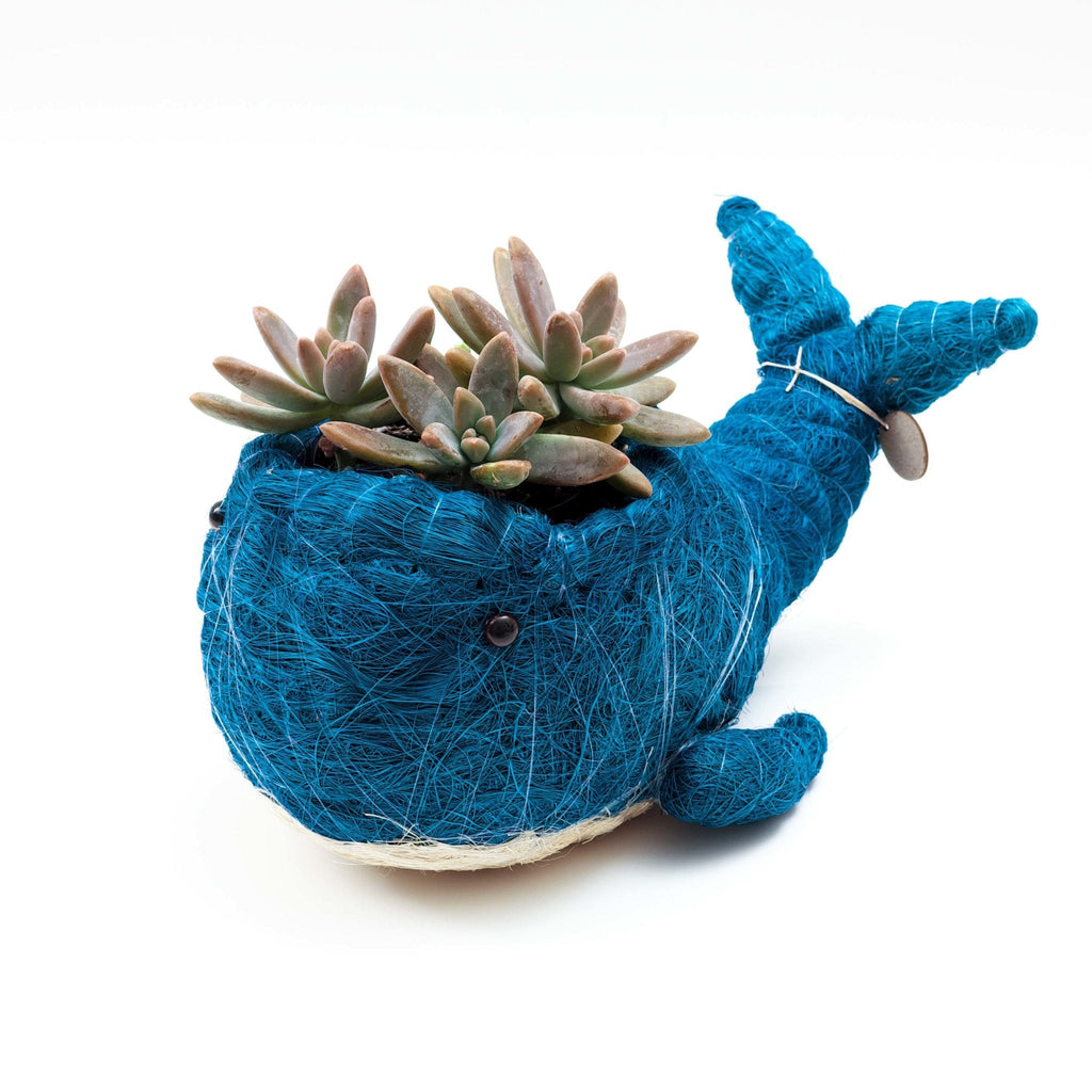 Pot de fleurs Baleine en osier - Pot de fleurs Coco