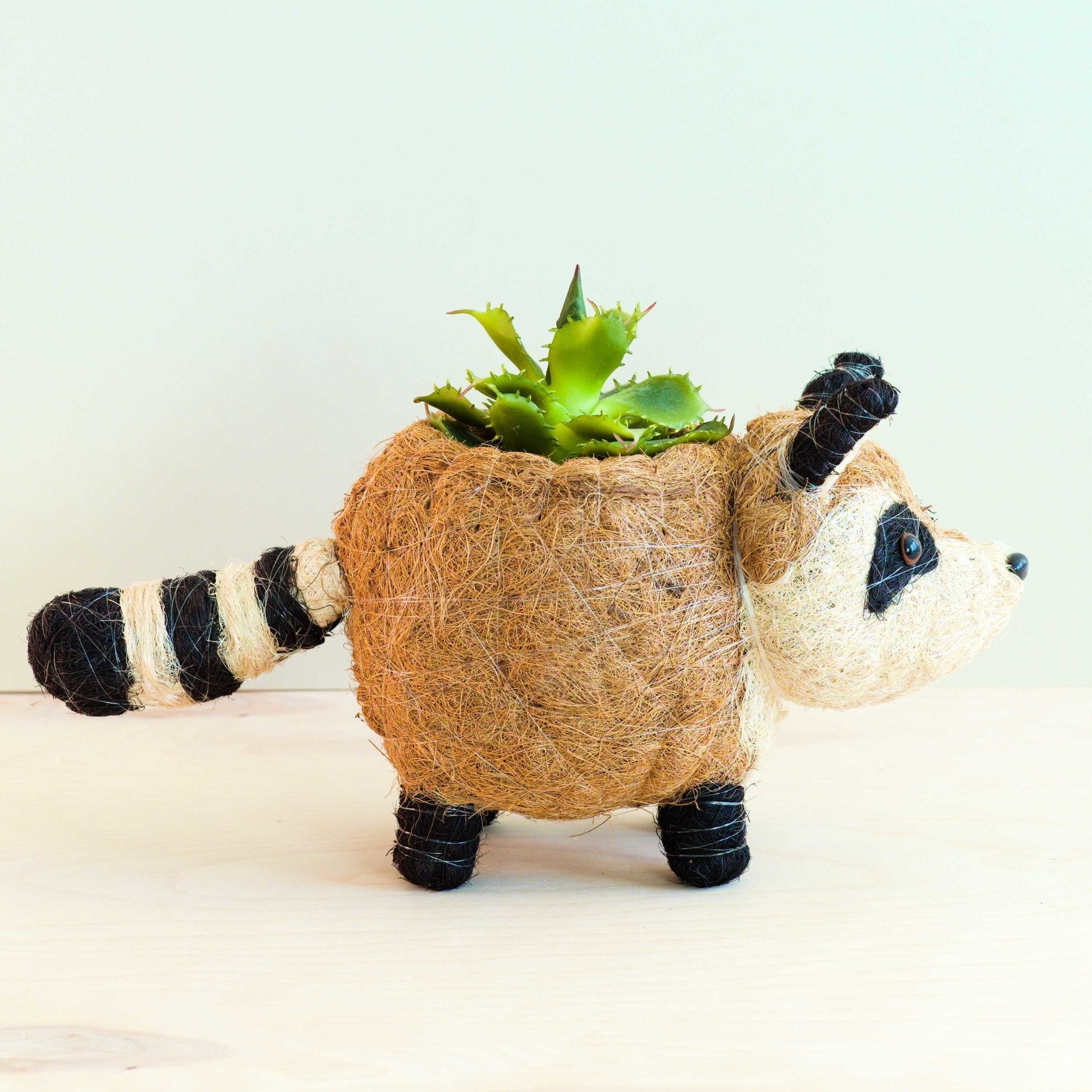 Jardinière Raton Laveur - Pot de Fleurs Fait Main